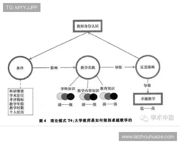 北京羽毛球队的阵容调整与战绩变迁分析